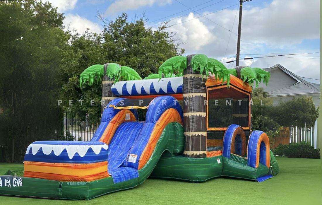 Palms Bounce House Combo Big Slide Rental - Peters Party Rental