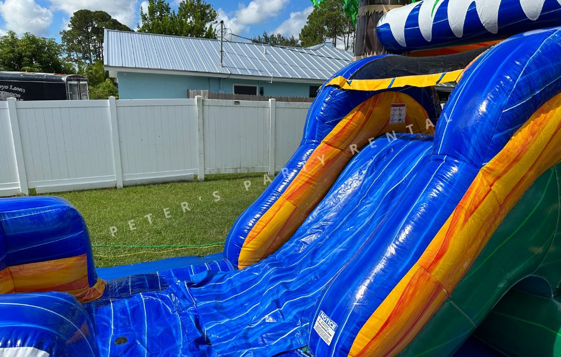 Palms Bounce House Combo Big Slide Rental - Peters Party Rental