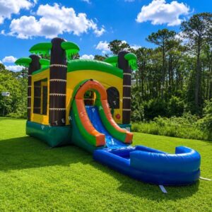 Palms Bounce House Combo with Pool Wet Rental - Peters Party Rental