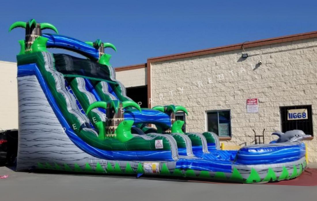 Dolphin Water Slides Rental - Peters Party Rental