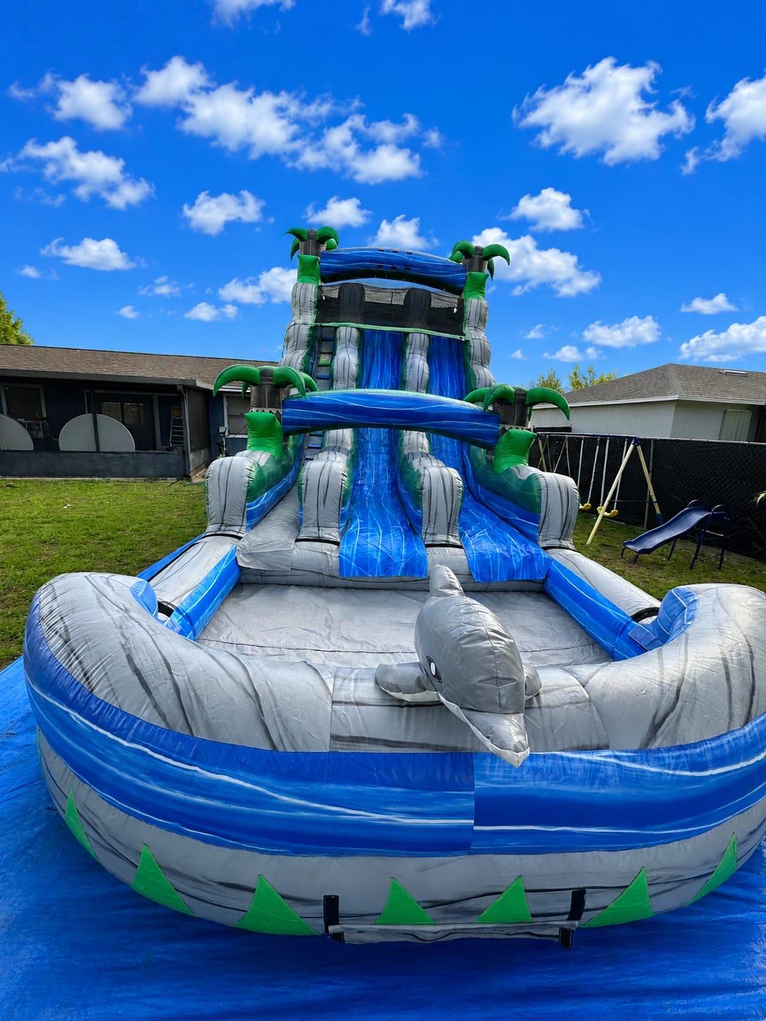 Dolphin Water Slides Rental - Peters Party Rental
