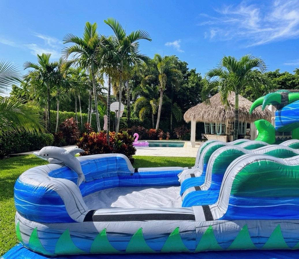 Dolphin Water Slides Rental - Peters Party Rental
