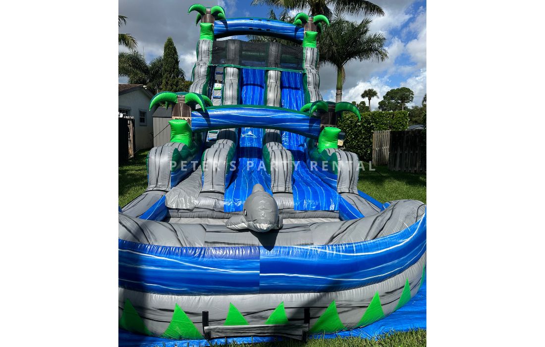 Dolphin Water Slides Rental - Peters Party Rental