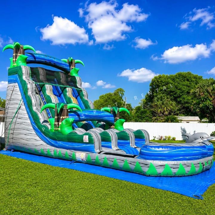 Dolphin Water Slides Rental - Peters Party Rental