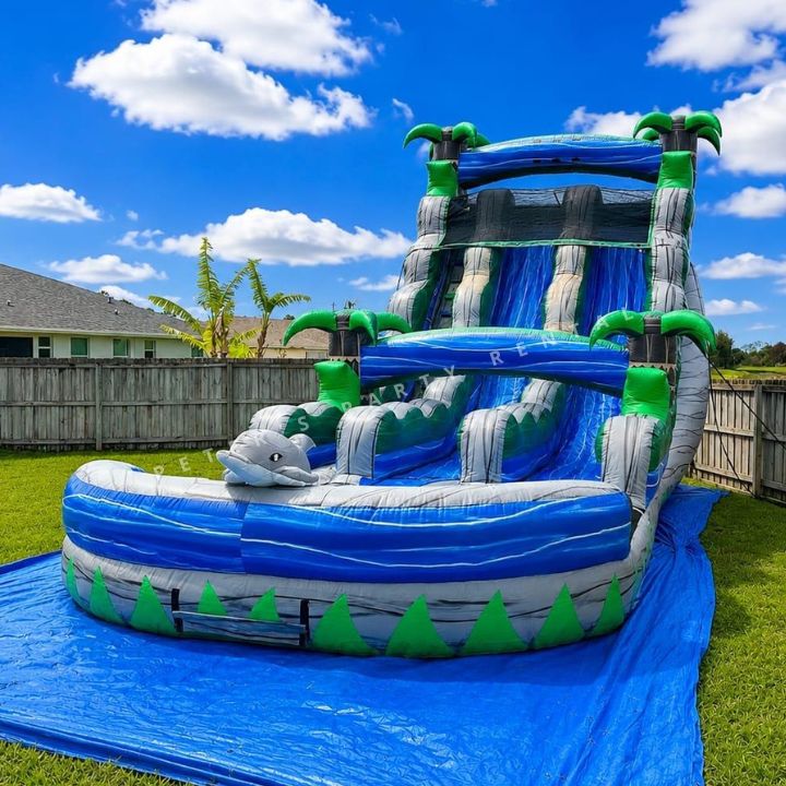Dolphin Water Slides Rental - Peters Party Rental