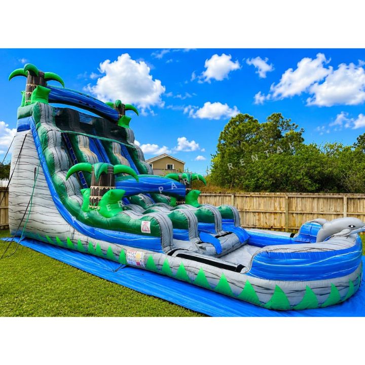 Dolphin Water Slides Rental - Peters Party Rental