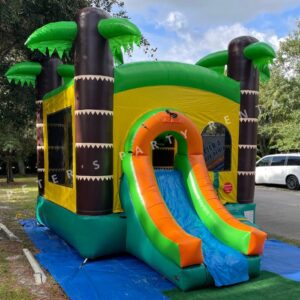 Regular Palms Bounce House Dry Rental - Peters Party Rental