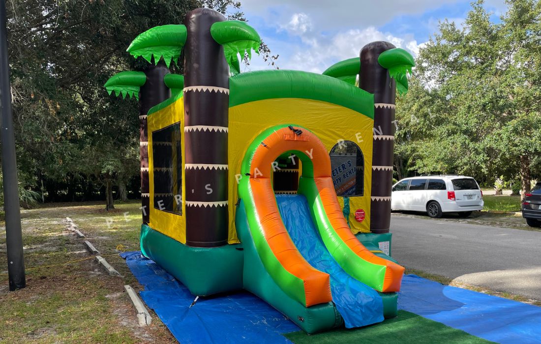 Regular Palms Bounce House Dry Rental - Peters Party Rental