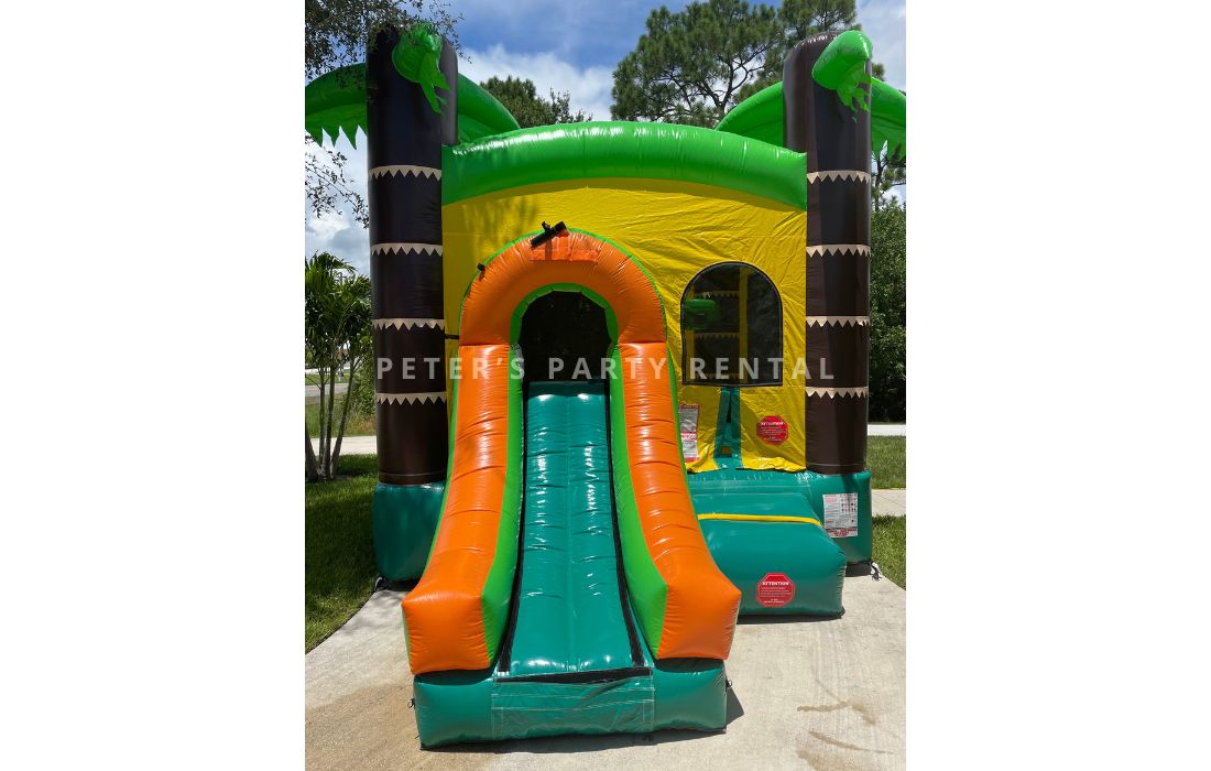 Regular Palms Bounce House Dry Rental - Peters Party Rental